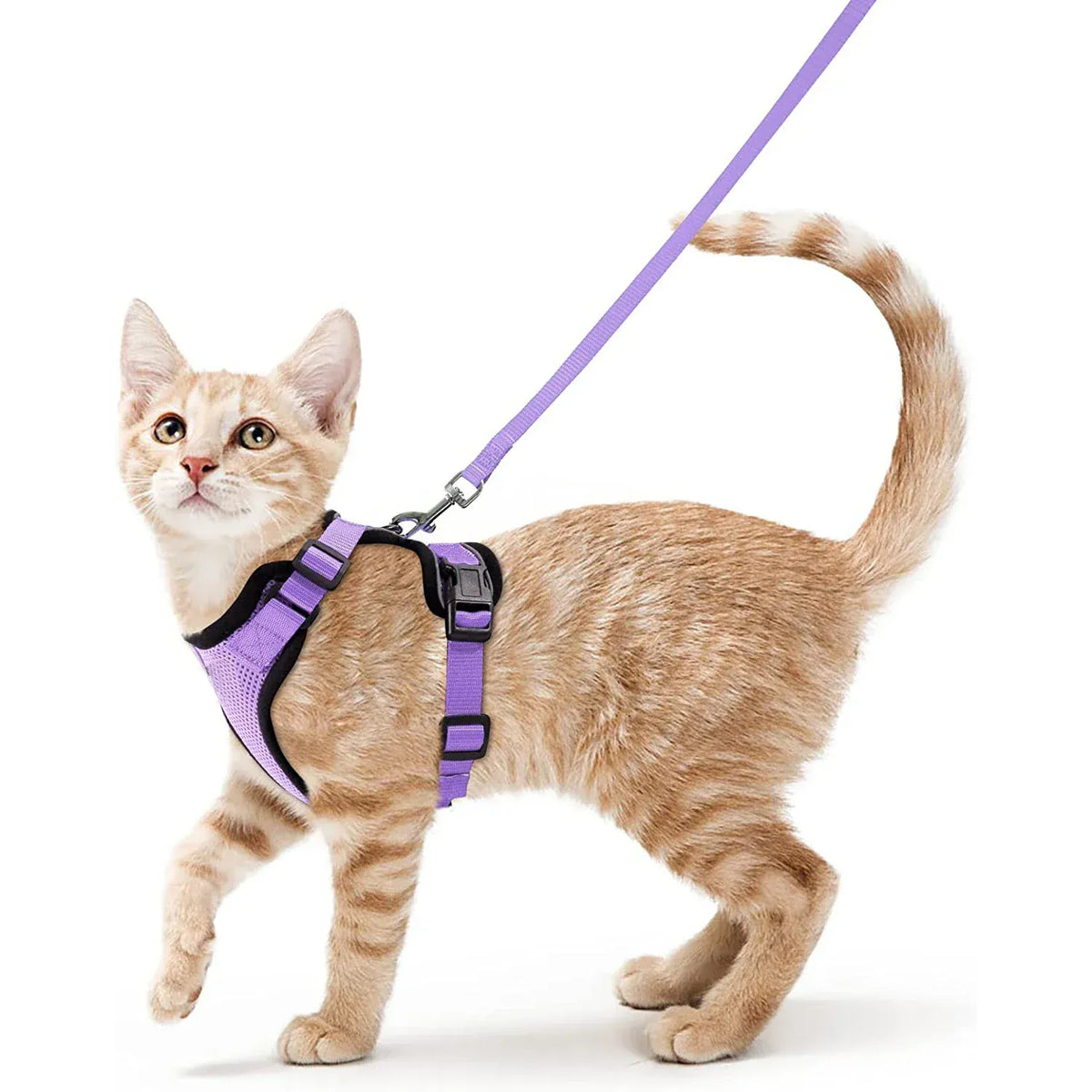 Breathable Orthopedic Cat Harness with Leash – view 15