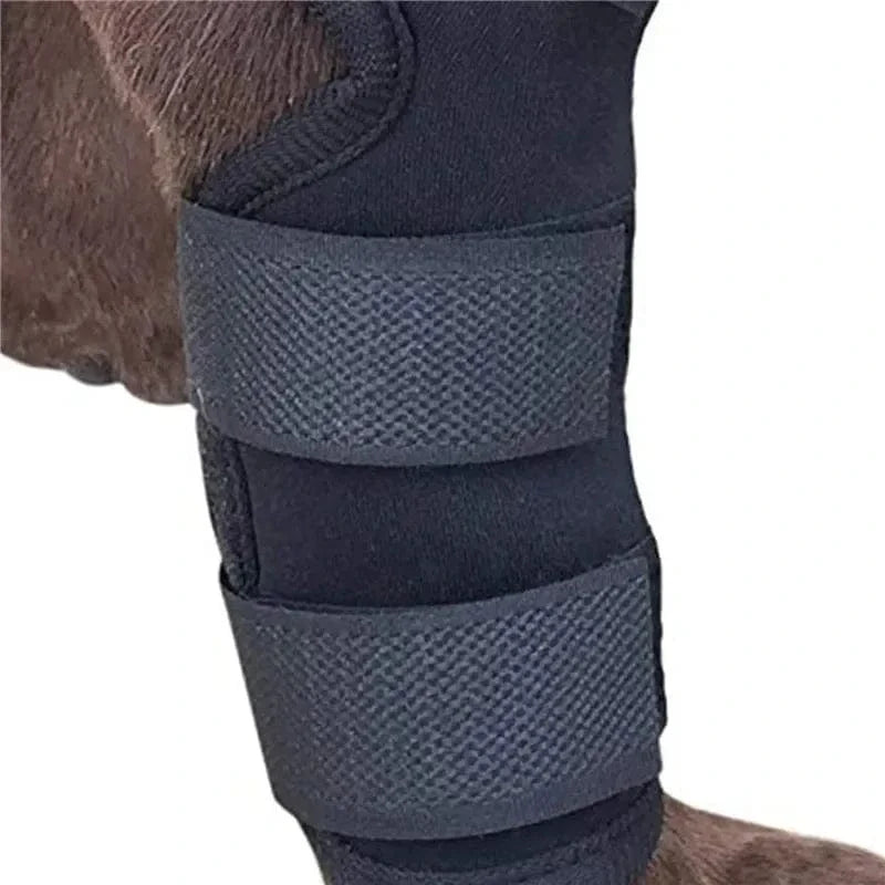 Nylon Dog Knee Brace with Hook-and-Loop Straps – view 3