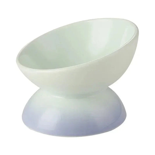 Tilted Anti-Splash Small Elevated Dog Bowl