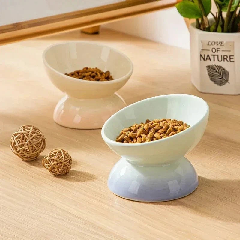 Tilted Anti-Splash Small Elevated Dog Bowl – view 3
