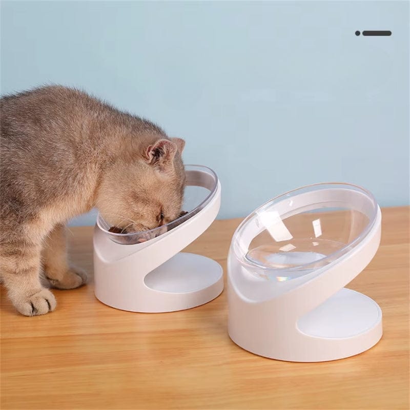 Tilted Non-Slip Raised Cat Bowl for Kittens and Adults