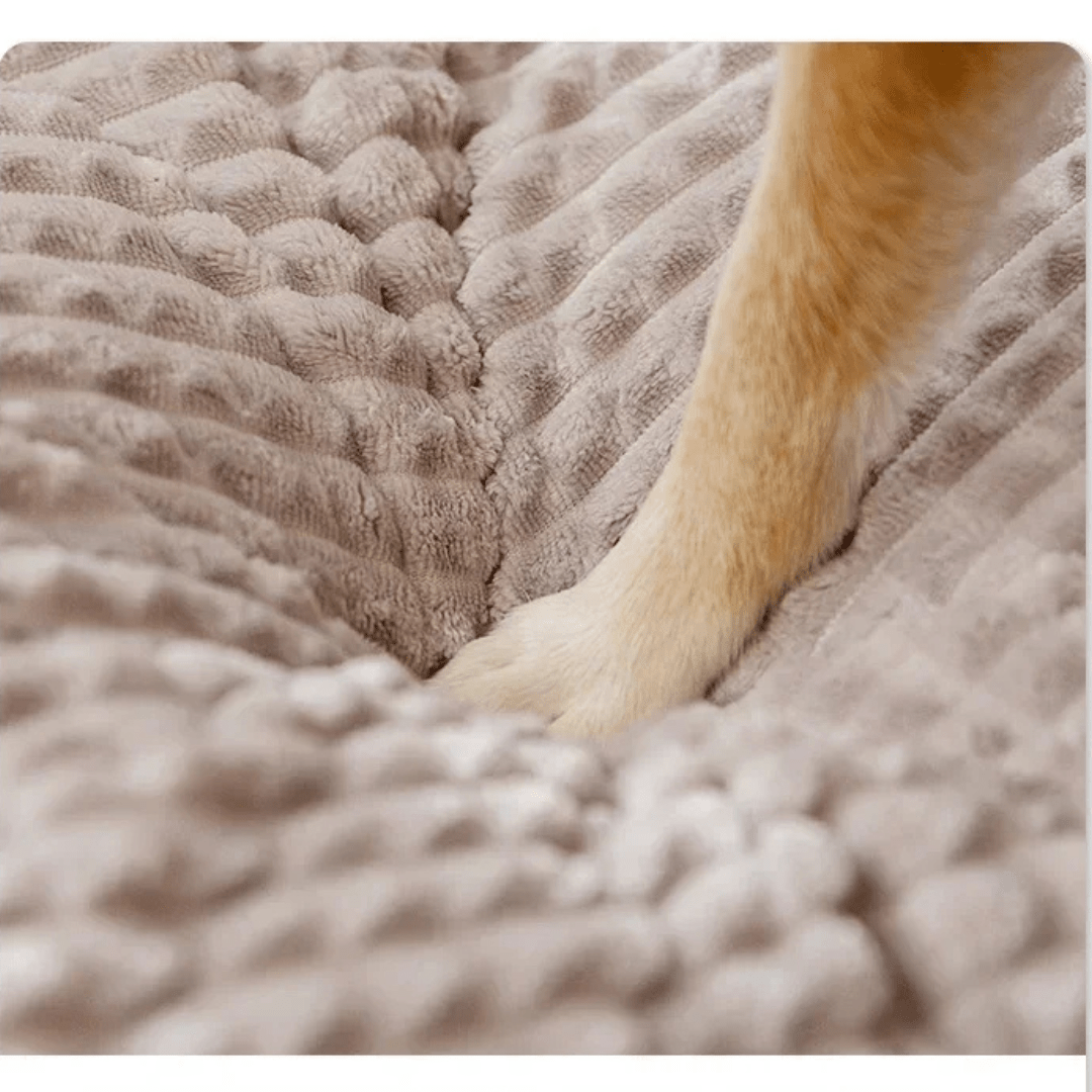 Washable Couch-Style Orthopedic Waterproof Dog Bed – view 5