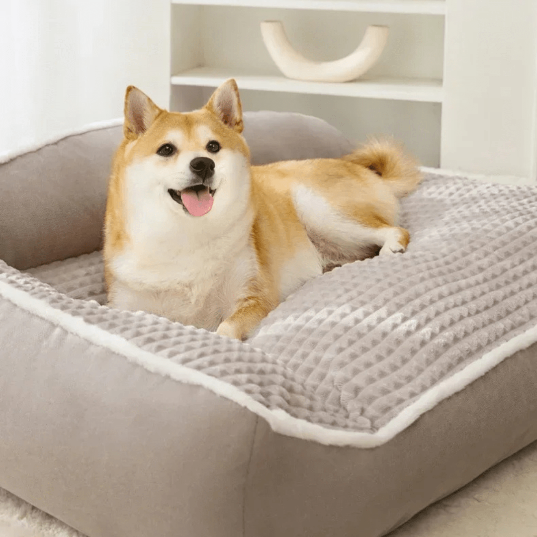 Washable Couch-Style Orthopedic Waterproof Dog Bed – view 3