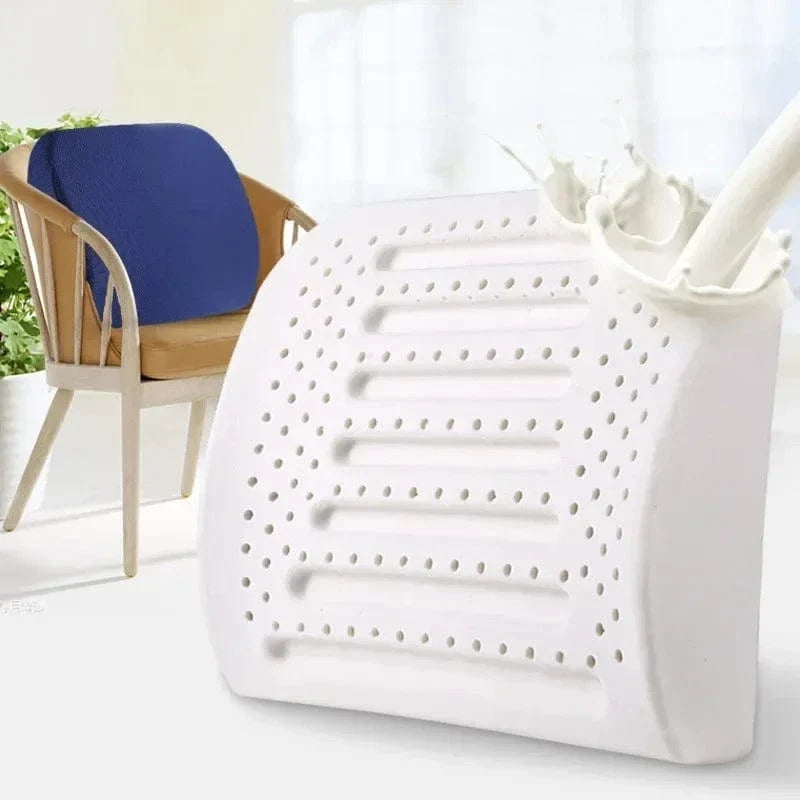 Ergonomic Latex Breathable Lumbar Support Pillow