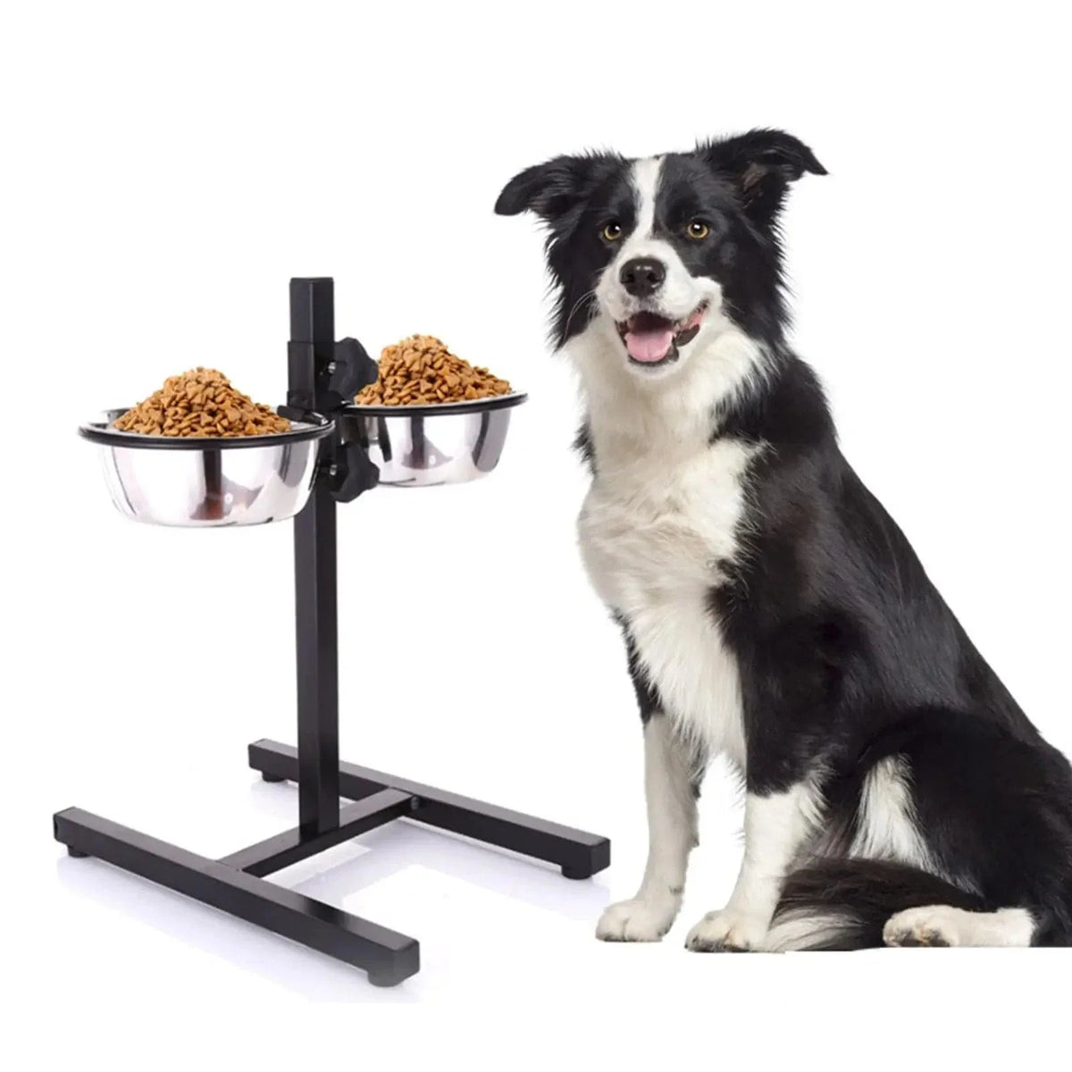 Adjustable Double Elevated Dog Bowl in Stainless Steel