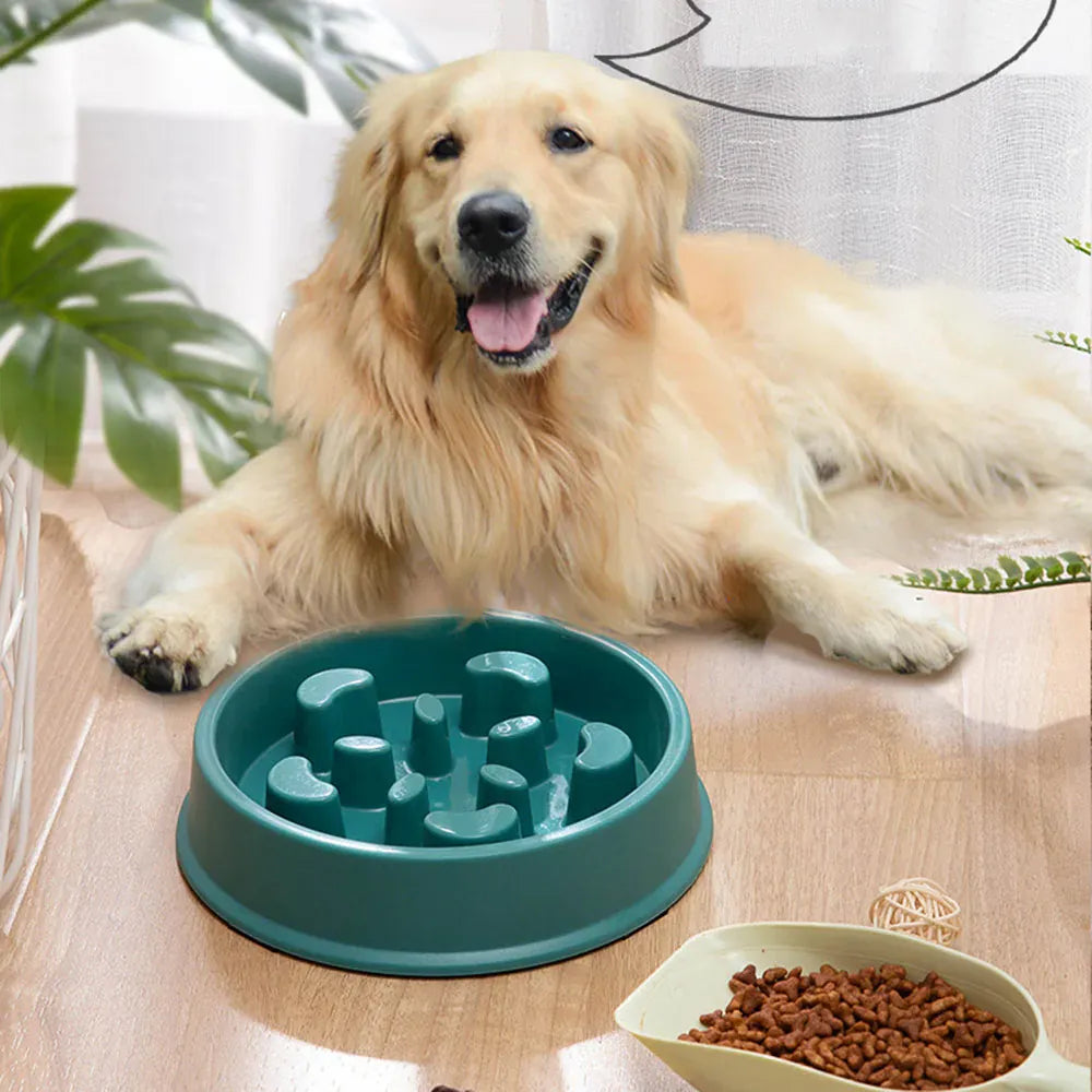 Bone Pattern Non-Slip Slow Feeder Dog Bowl for Digestion – view 5