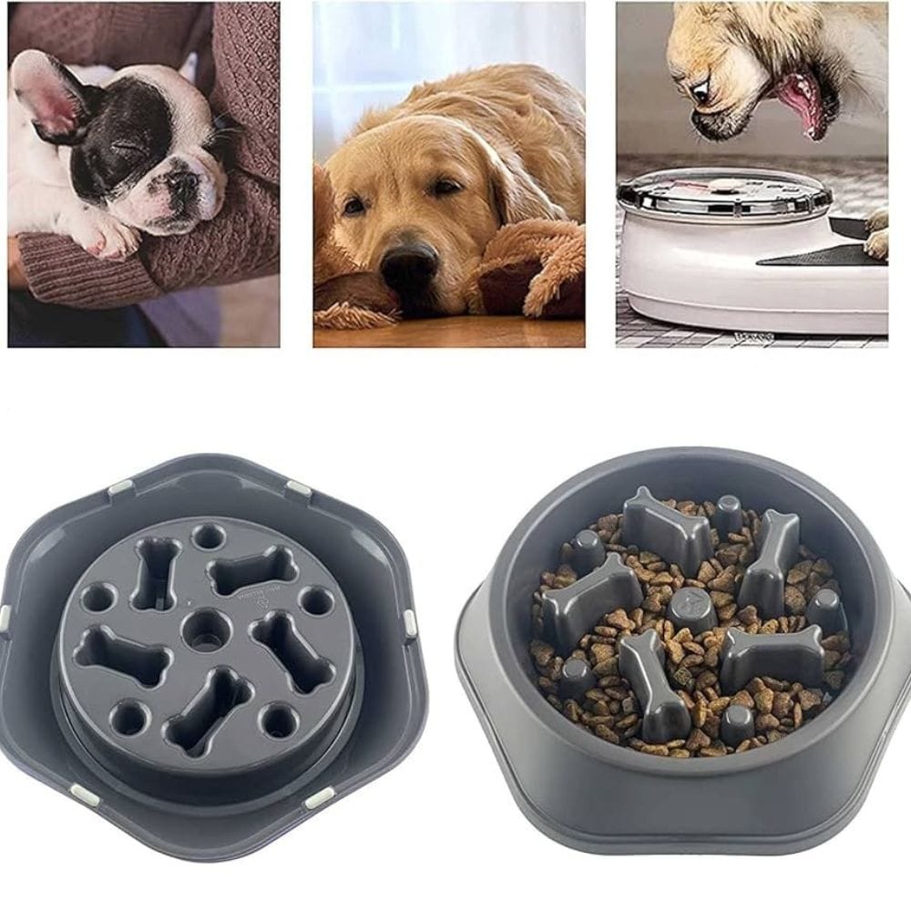 Bone Pattern Non-Slip Slow Feeder Dog Bowl for Digestion – view 2