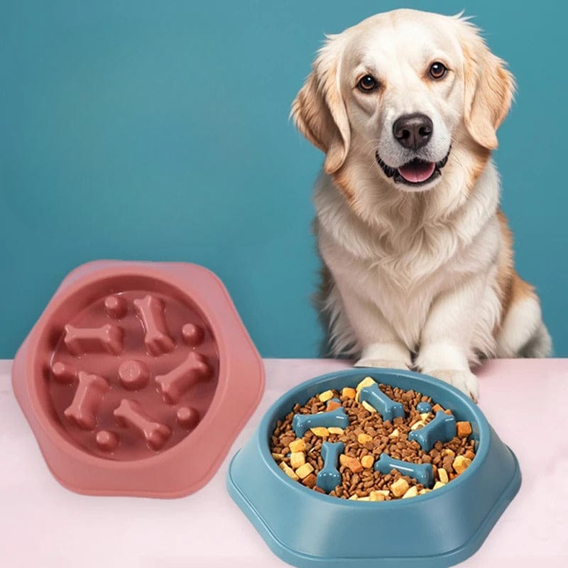 Bone Pattern Non-Slip Slow Feeder Dog Bowl for Digestion