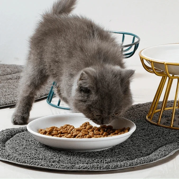 Ceramic Dressy Elevated Cat Bowl with Metal Stand – view 6