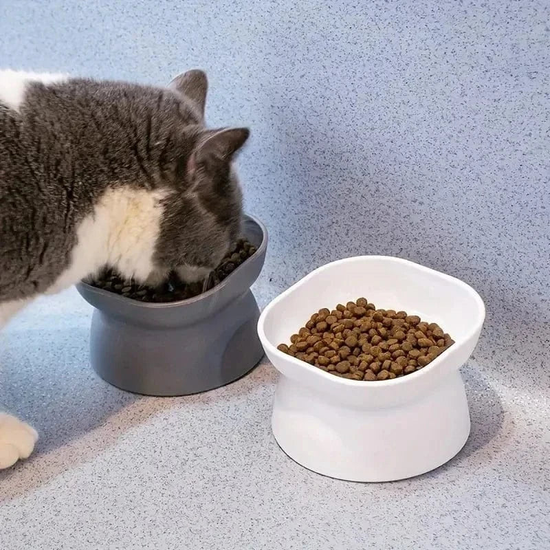 Square Elevated Cat Bowl with Non-Slip Base – view 4