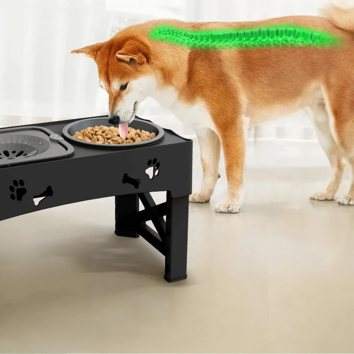 Foldable Comfortable Elevated Dog Bowl with 5 Heights – view 4