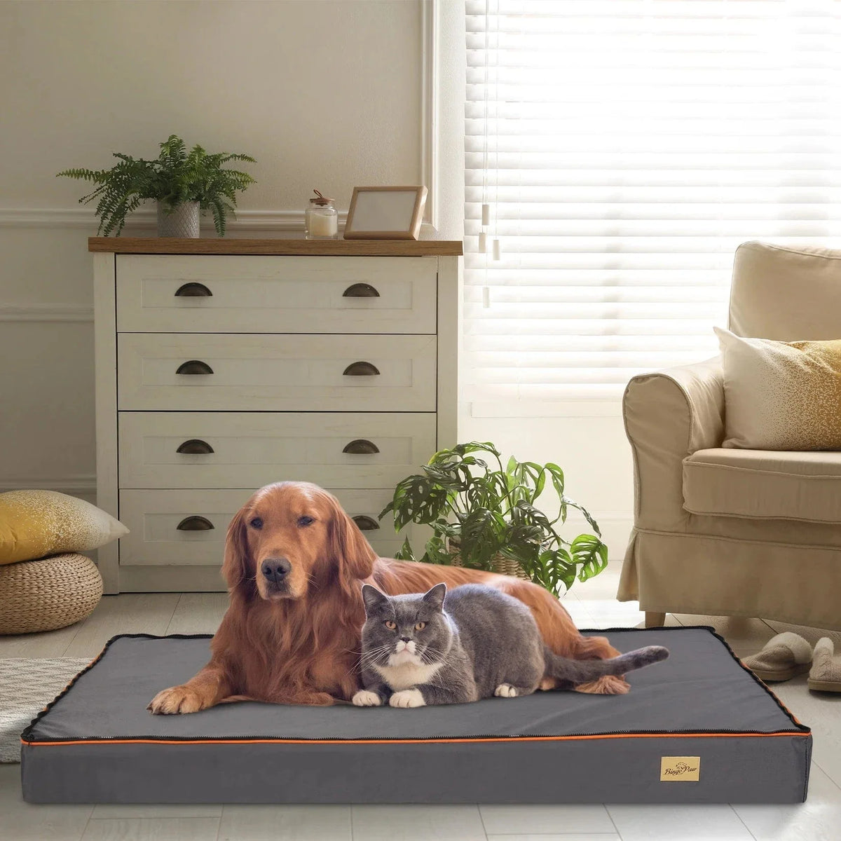 Large Orthopedic Dog Bed with Thick Foam and Washable Cover – view 4