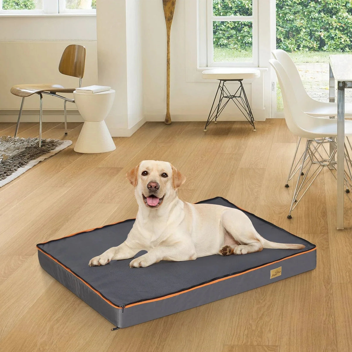 Large Orthopedic Dog Bed with Thick Foam and Washable Cover