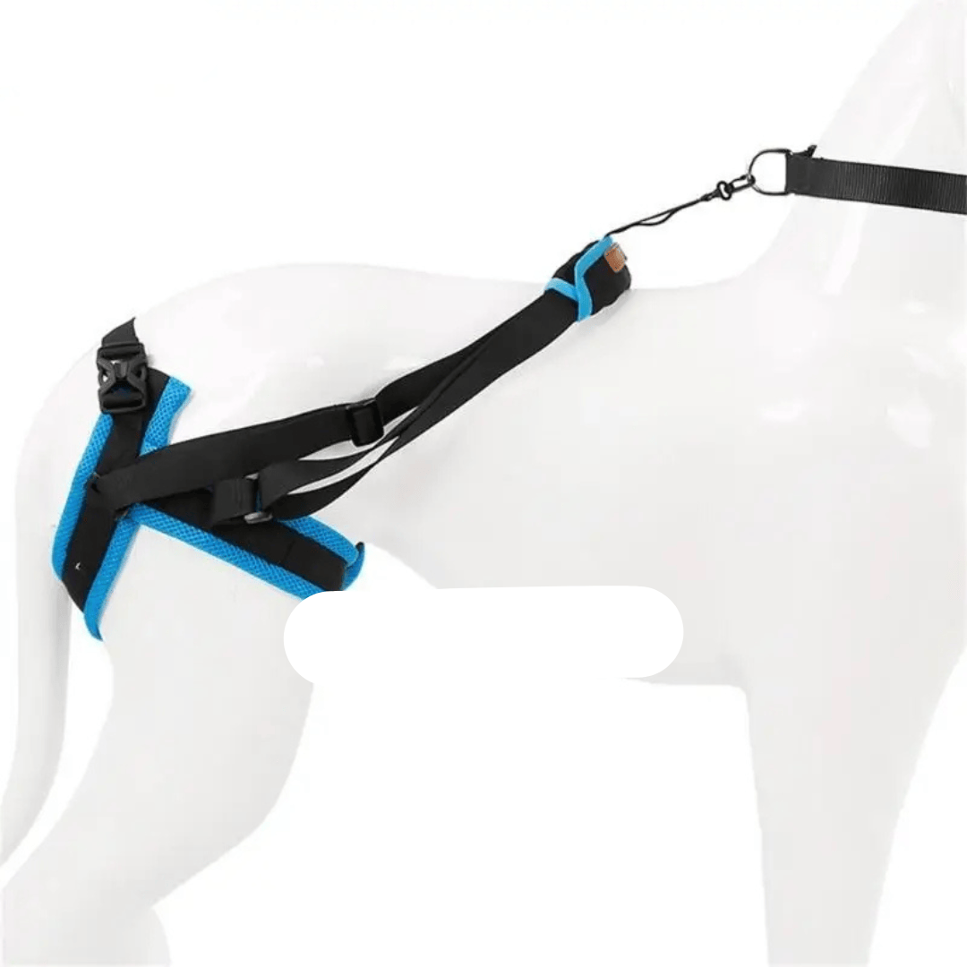 Comfortable Orthopedic Dog Harness for Mobility Support – view 2