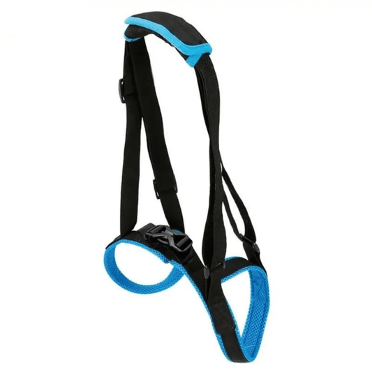 Comfortable Orthopedic Dog Harness for Mobility Support