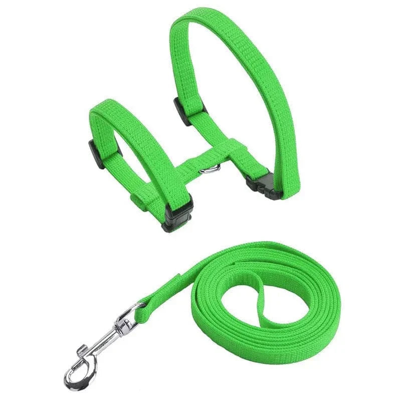 Lightweight Nylon Adjustable Orthopedic Cat Harness – view 8