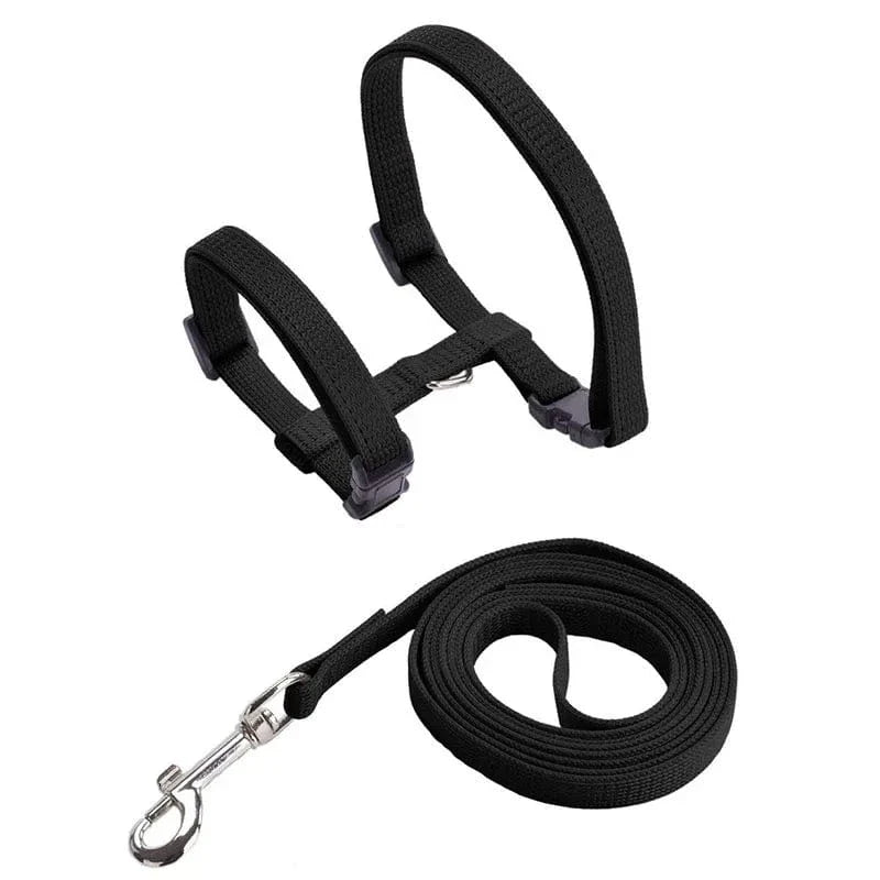 Lightweight Nylon Adjustable Orthopedic Cat Harness – view 9