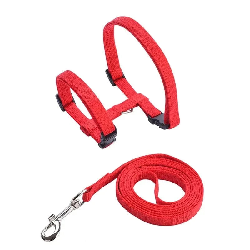 Lightweight Nylon Adjustable Orthopedic Cat Harness – view 11
