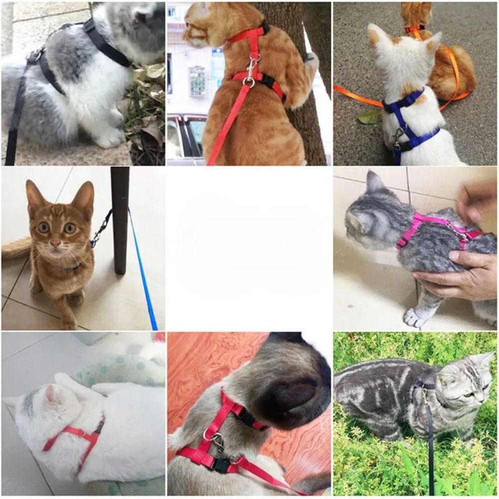Lightweight Nylon Adjustable Orthopedic Cat Harness – view 2