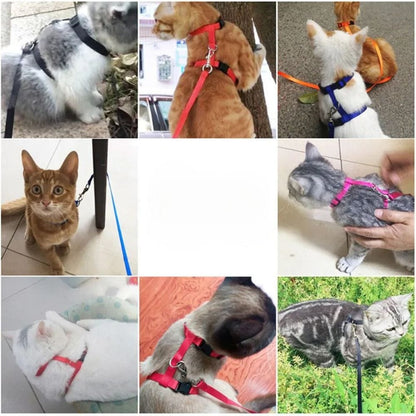 Lightweight Nylon Adjustable Orthopedic Cat Harness – view 2