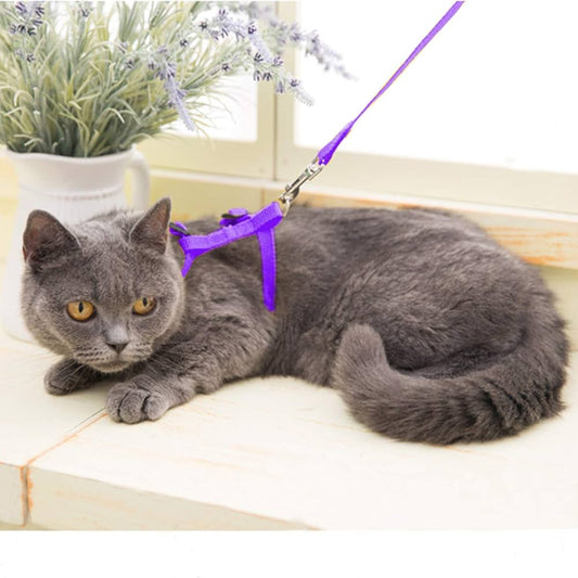 Lightweight Nylon Adjustable Orthopedic Cat Harness