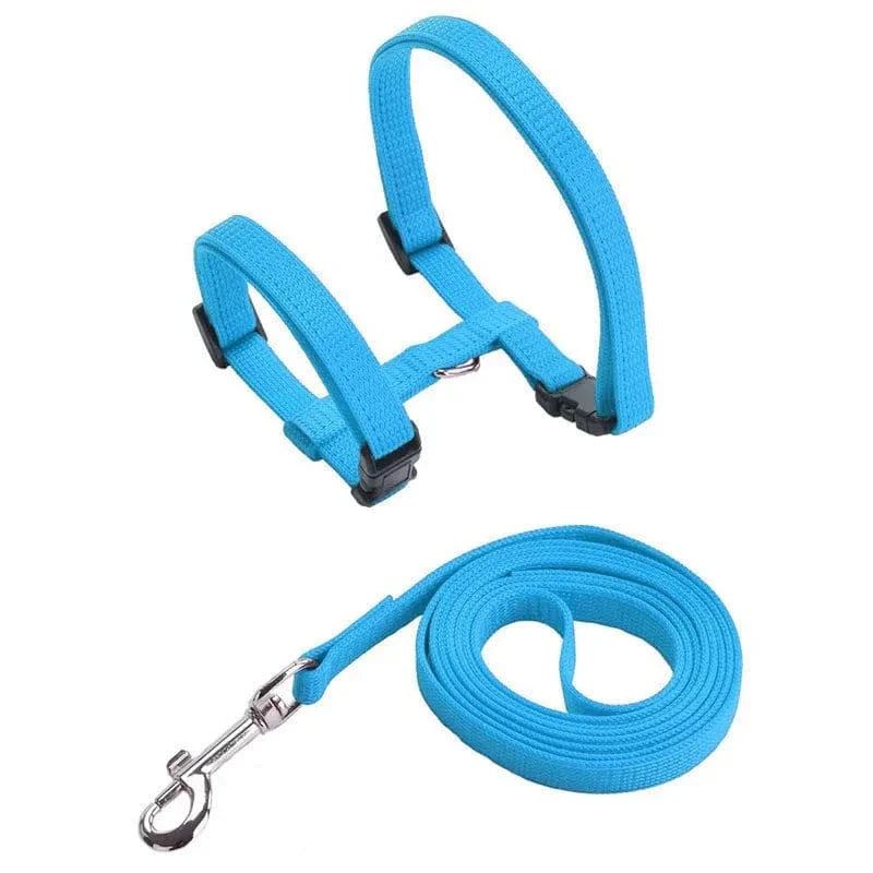 Lightweight Nylon Adjustable Orthopedic Cat Harness – view 17