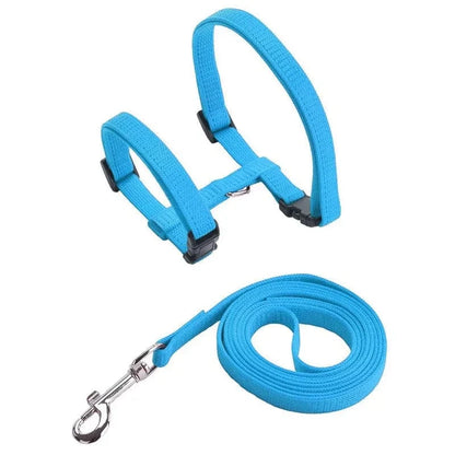 Lightweight Nylon Adjustable Orthopedic Cat Harness – view 17