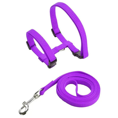 Lightweight Nylon Adjustable Orthopedic Cat Harness – view 16