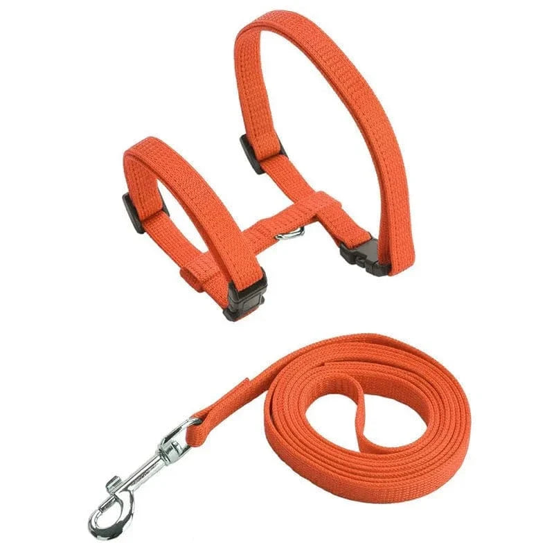 Lightweight Nylon Adjustable Orthopedic Cat Harness – view 15