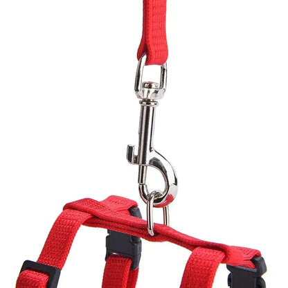 Lightweight Nylon Adjustable Orthopedic Cat Harness – view 5