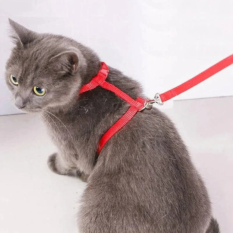 Lightweight Nylon Adjustable Orthopedic Cat Harness – view 3