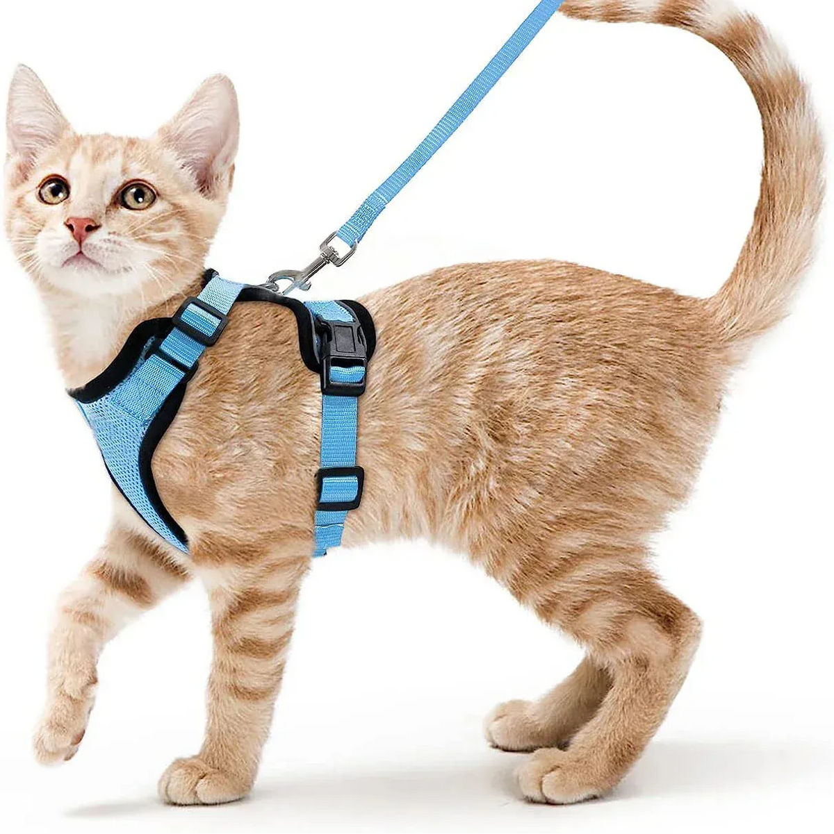 Breathable Orthopedic Cat Harness with Leash – view 14