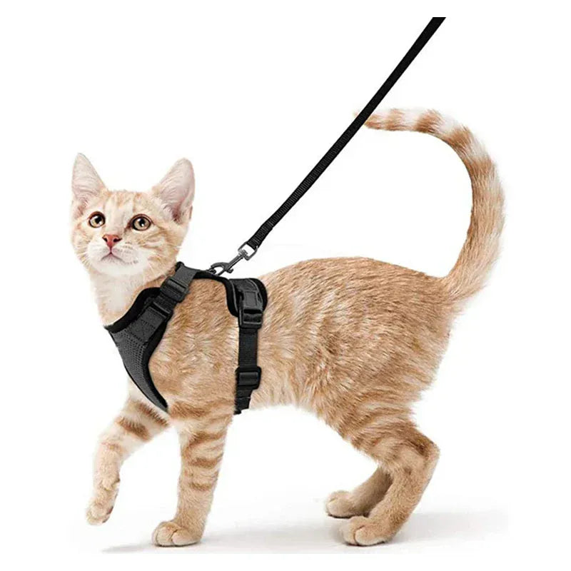 Breathable Orthopedic Cat Harness with Leash – view 5