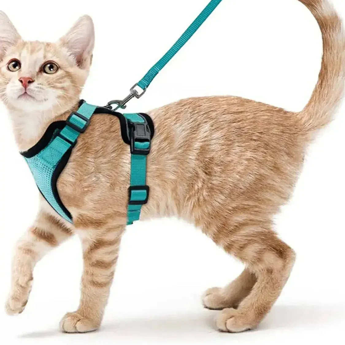 Breathable Orthopedic Cat Harness with Leash – view 11