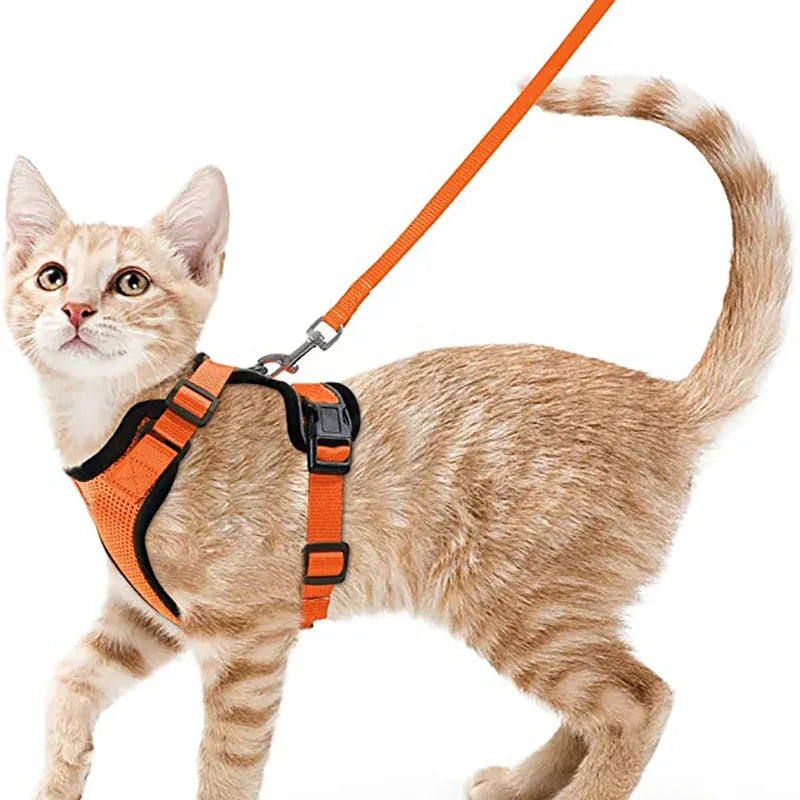 Breathable Orthopedic Cat Harness with Leash – view 7