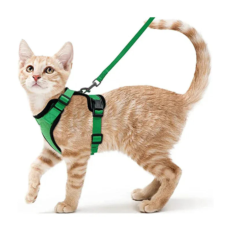 Breathable Orthopedic Cat Harness with Leash – view 10