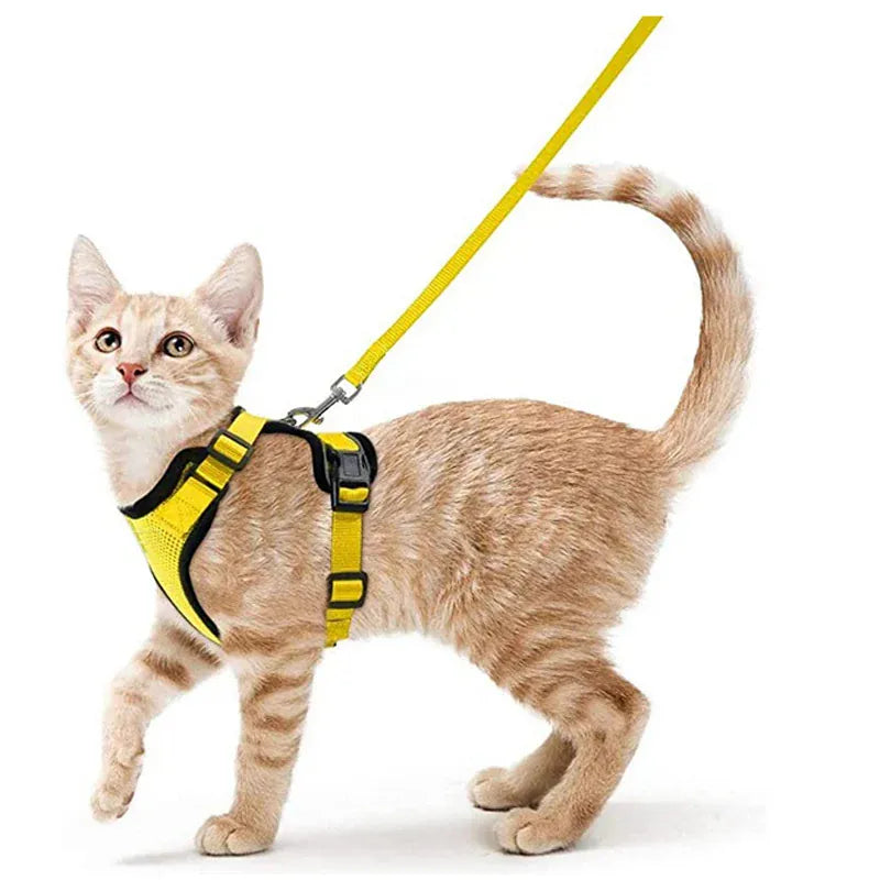 Breathable Orthopedic Cat Harness with Leash – view 9