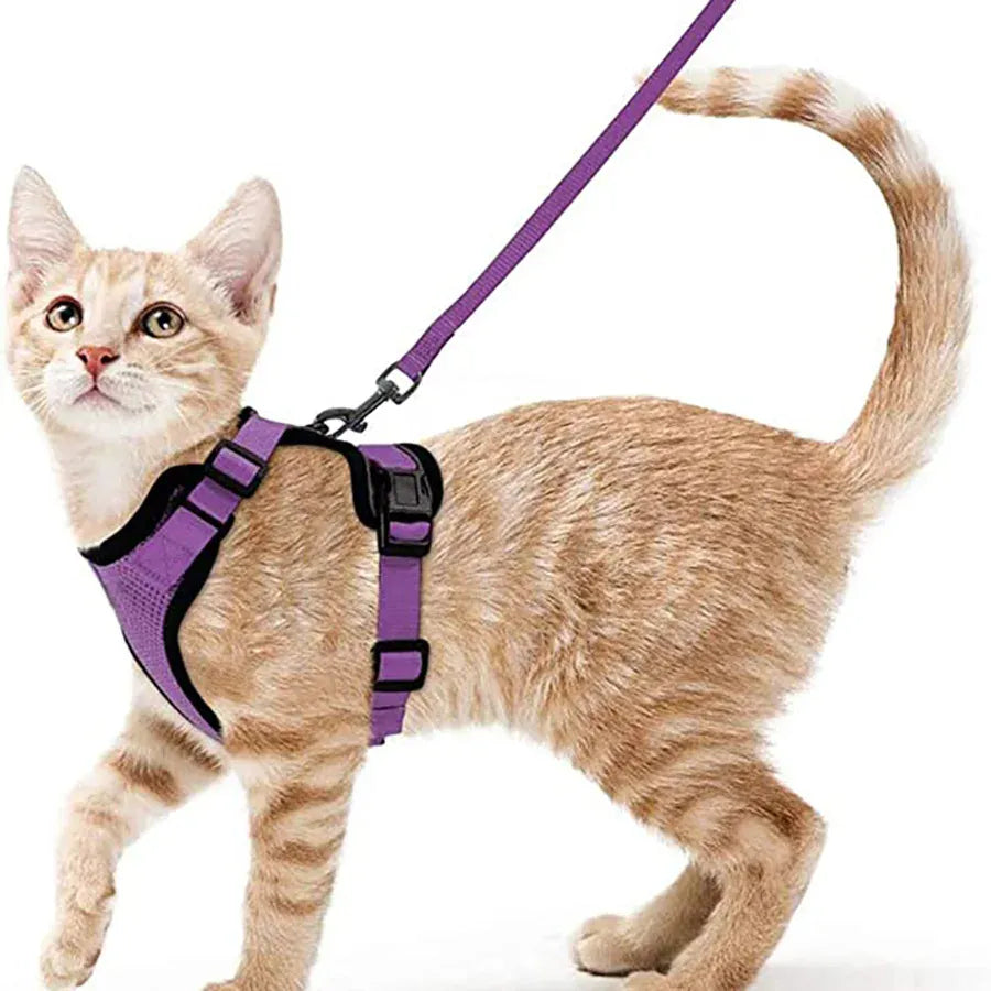 Breathable Orthopedic Cat Harness with Leash – view 8