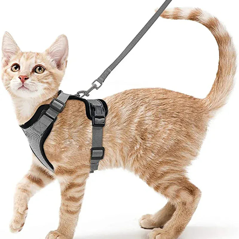Breathable Orthopedic Cat Harness with Leash – view 6