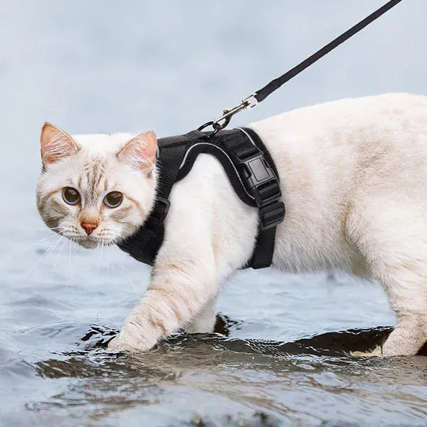 Breathable Orthopedic Cat Harness with Leash