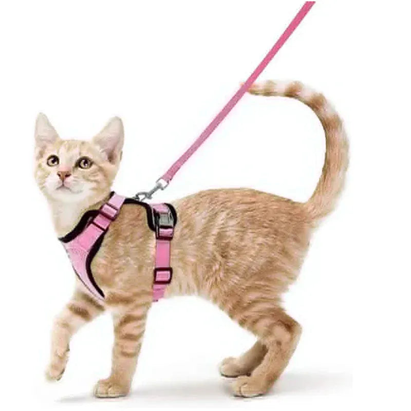 Breathable Orthopedic Cat Harness with Leash – view 13