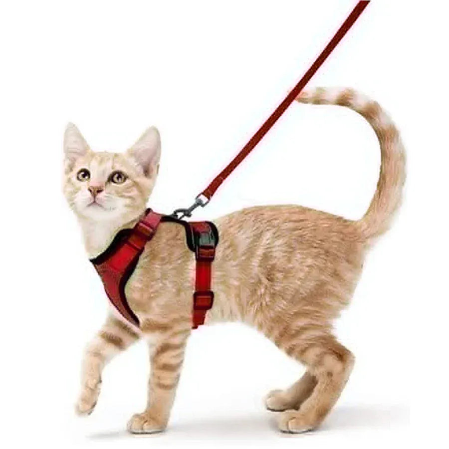 Breathable Orthopedic Cat Harness with Leash – view 12