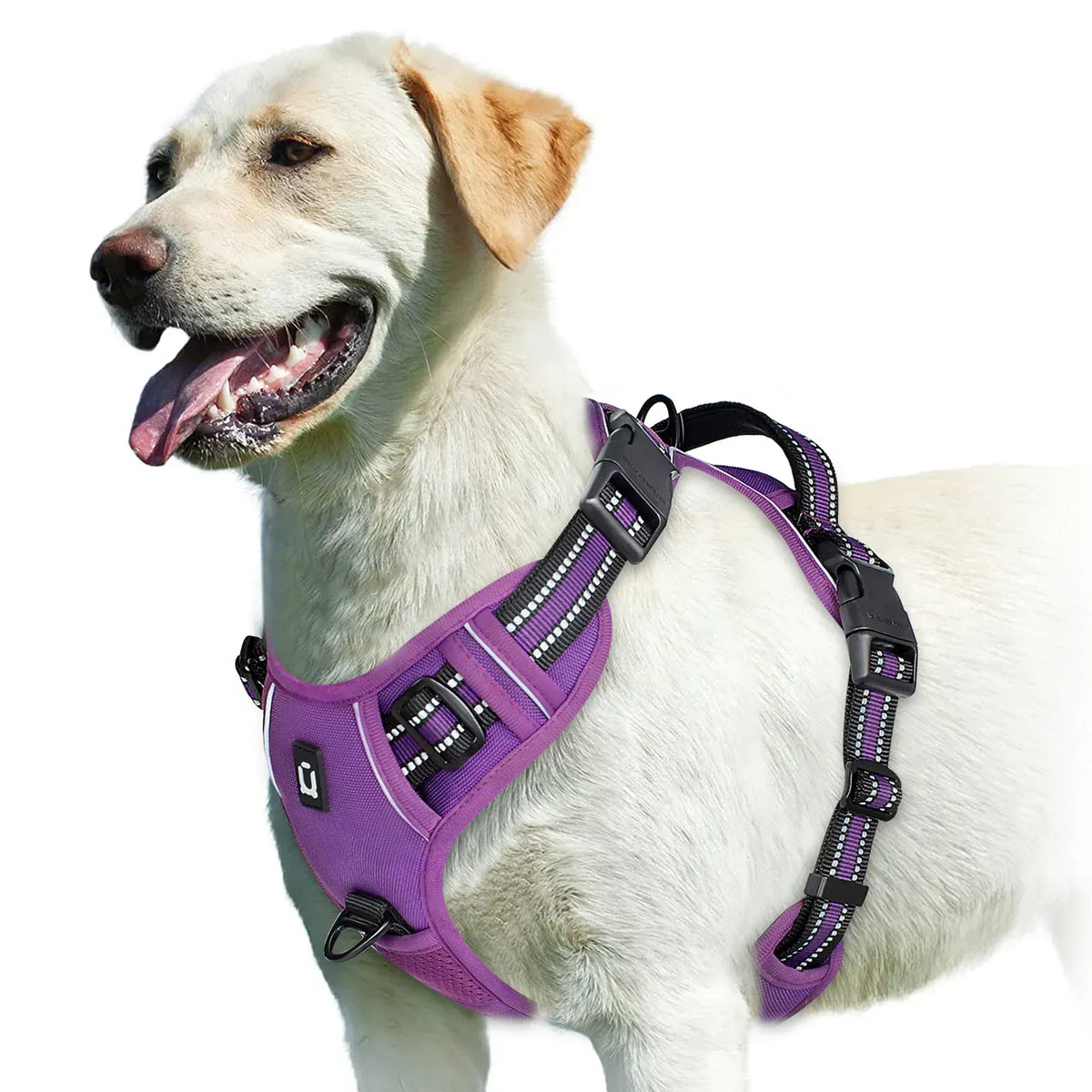 Reflective Adjustable Orthopedic Dog Harness – view 10