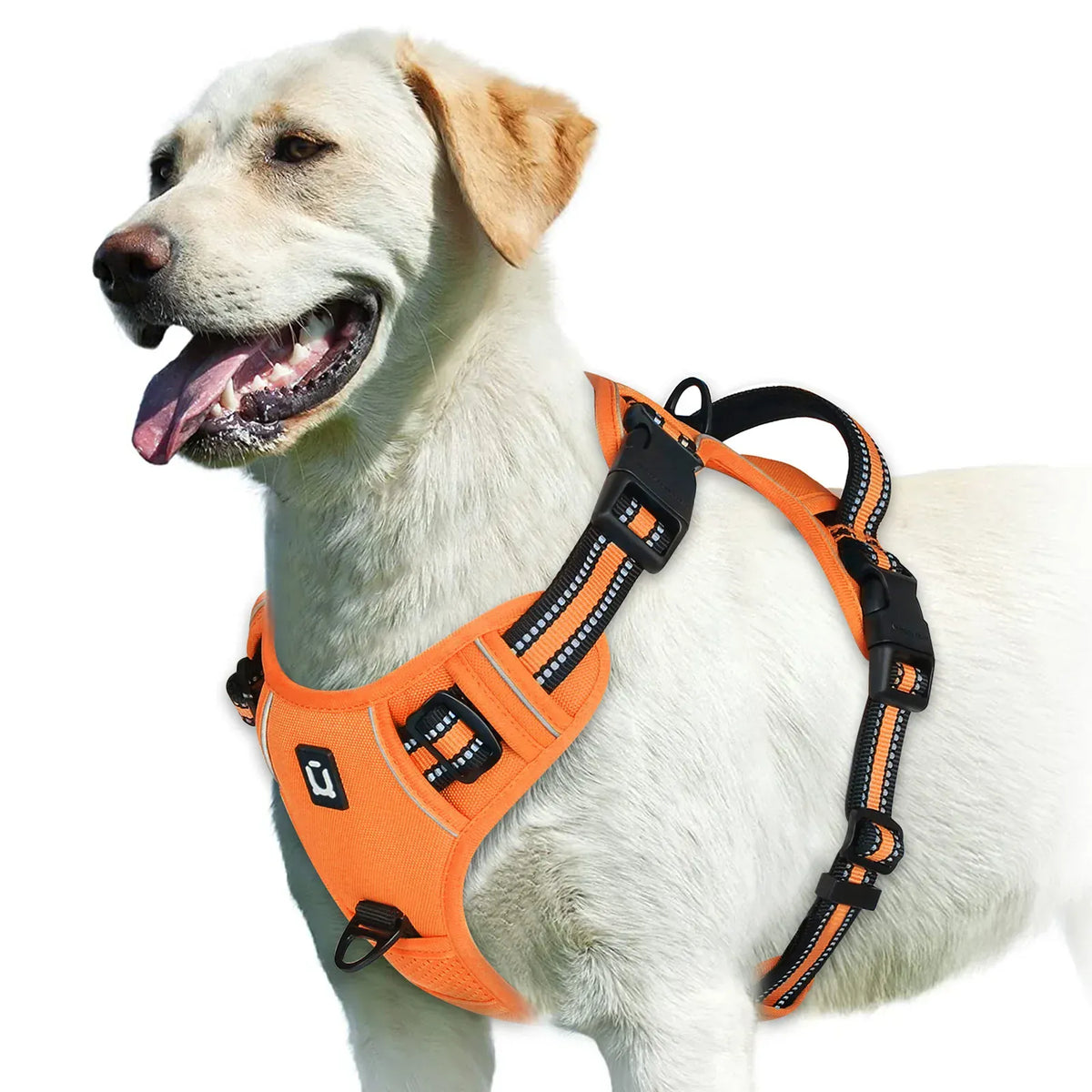Reflective Adjustable Orthopedic Dog Harness – view 5