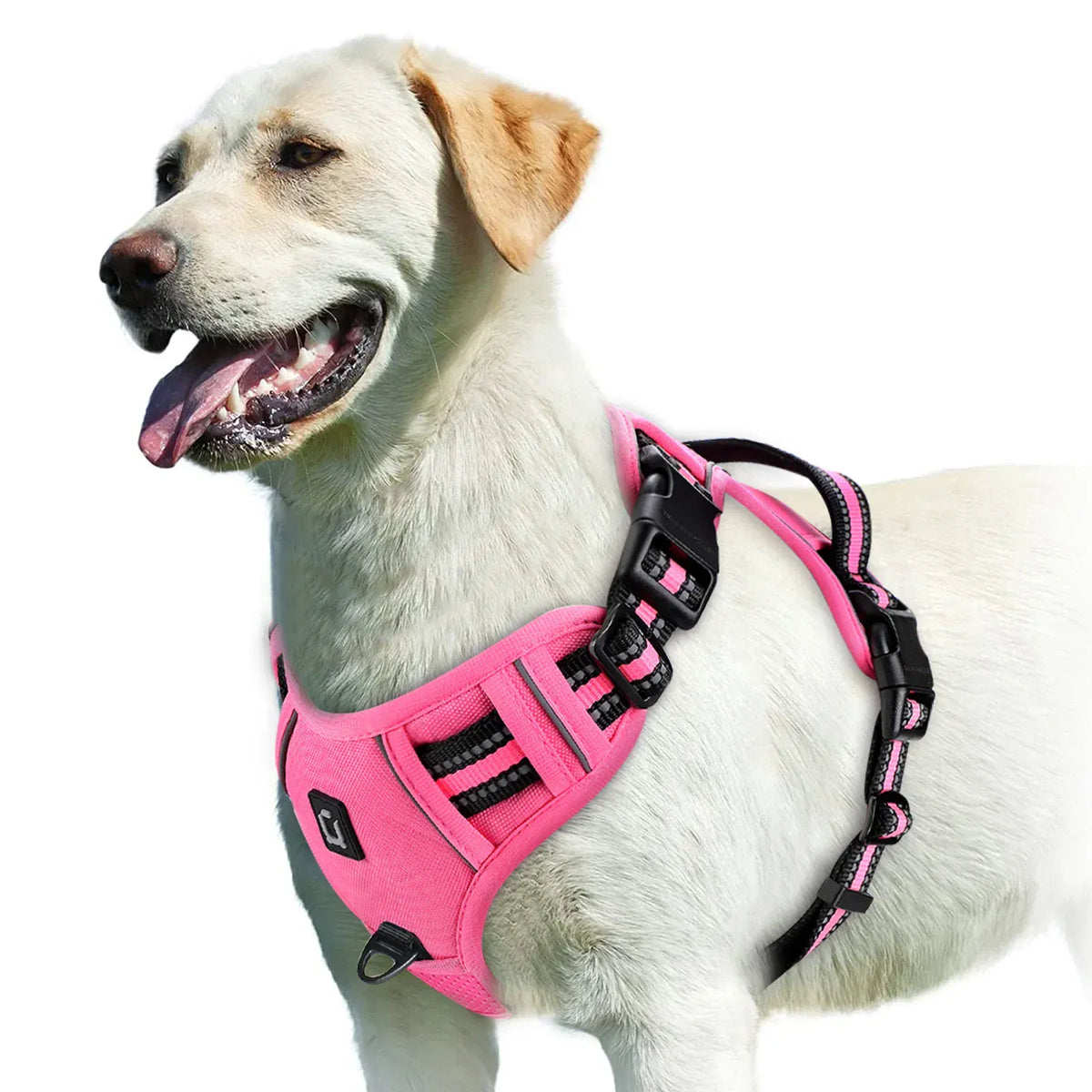 Reflective Adjustable Orthopedic Dog Harness – view 6