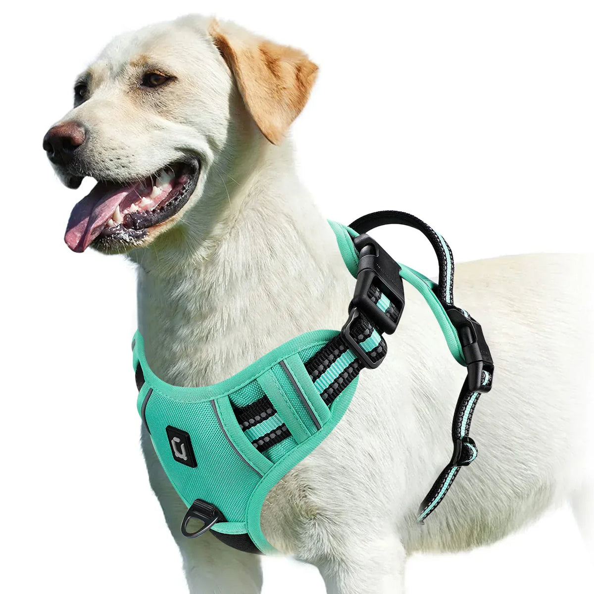 Reflective Adjustable Orthopedic Dog Harness – view 7