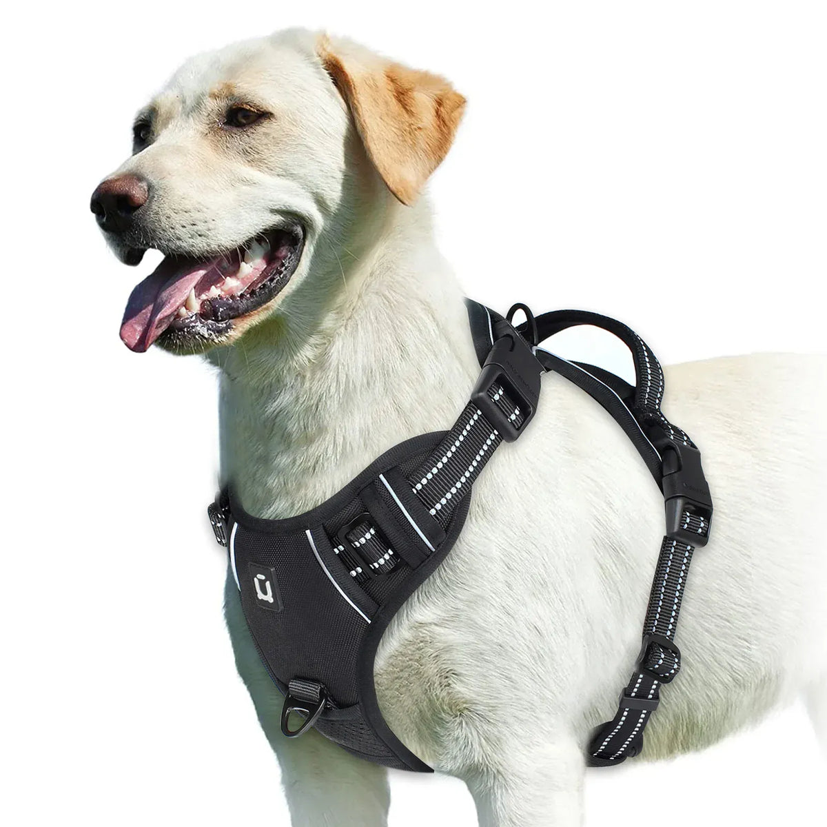 Reflective Adjustable Orthopedic Dog Harness – view 4