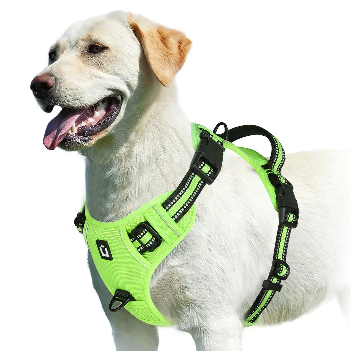 Reflective Adjustable Orthopedic Dog Harness – view 9