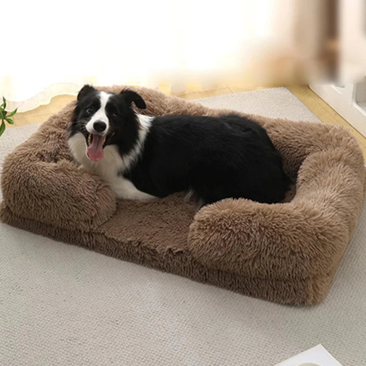 Orthopedic Memory Foam Dog Bed with Raised Edges