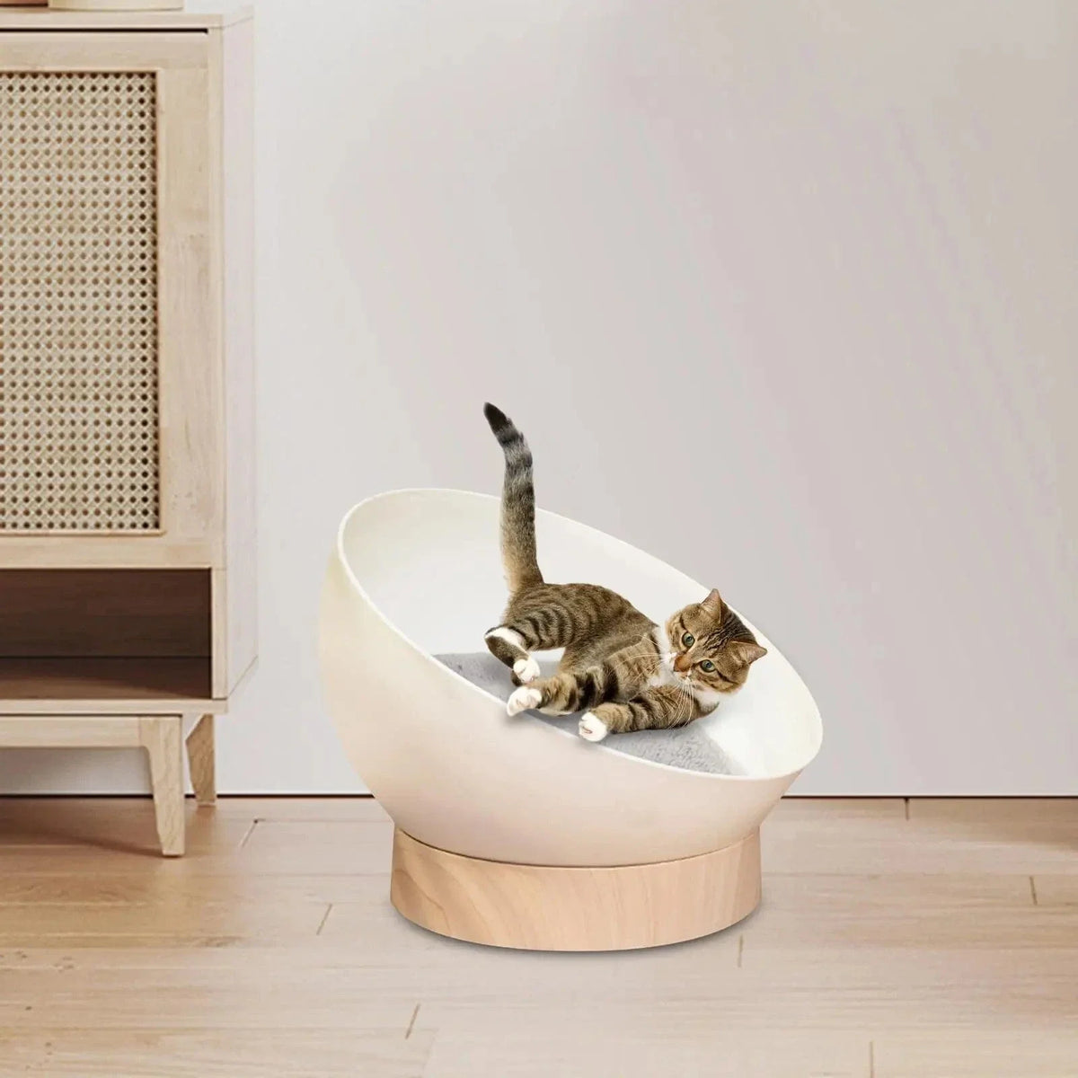 Cozy Round Orthopedic Cat Bed with Stable Base – view 2